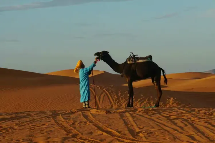 包含突尼斯击败摩洛哥取得好成绩的词条