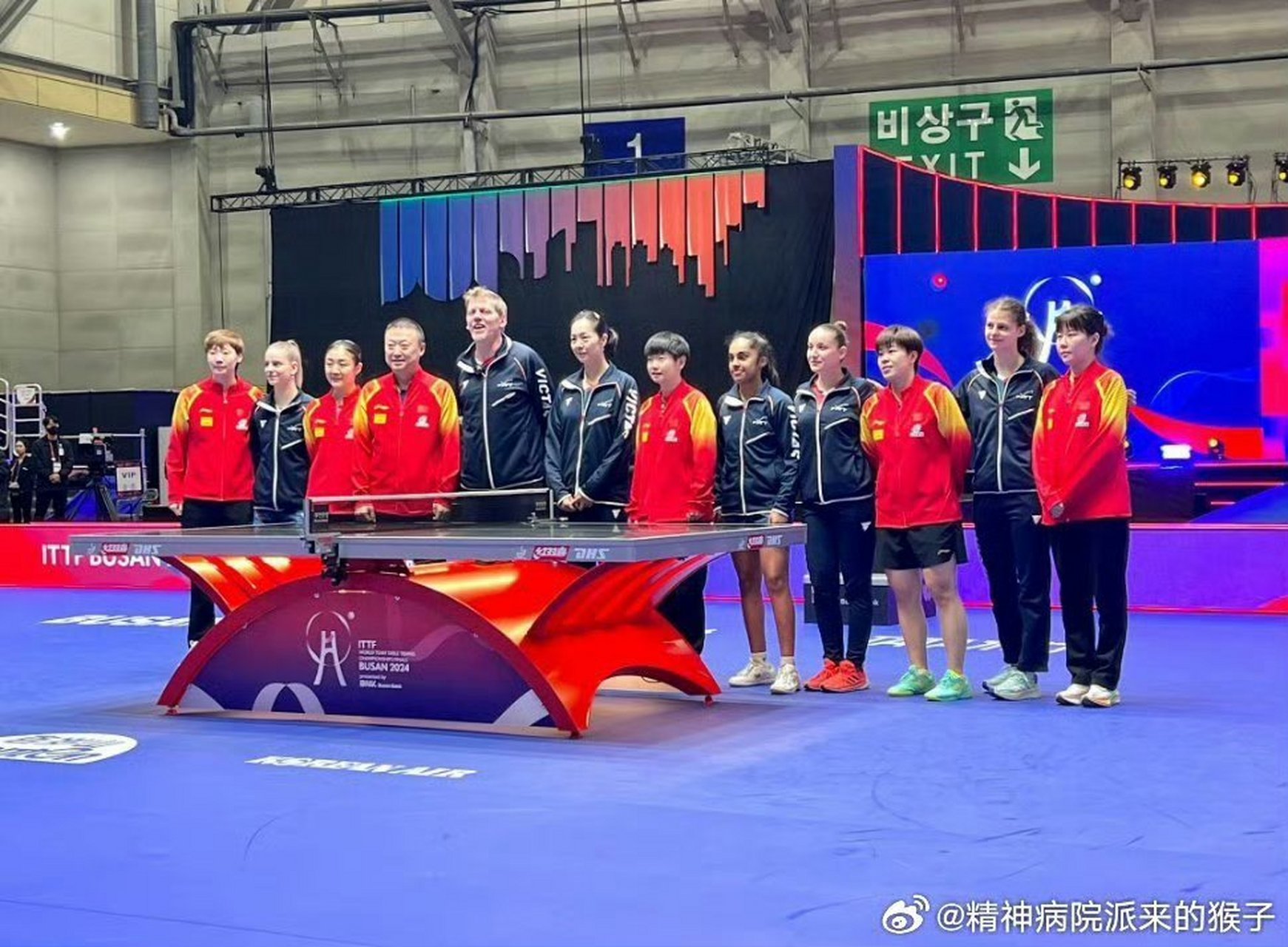 韩国队力克法国队,马琳惊艳四座 韩国队力克法国队,马琳惊艳四座